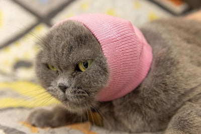 Soothing Cat Head Cover,Cat Ear Wrap Hematoma Compression Cats-Anxiety & Stress Relief - Ear Wrap for Cats Pink S