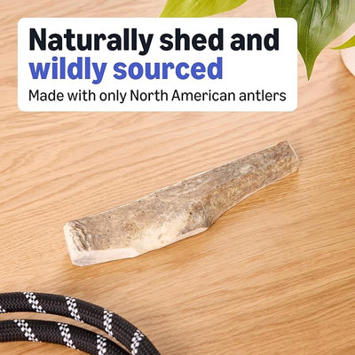 Amazon Basics Split Elk Antler, Medium, for Dogs | Naturally Shed | 15-30 lbs (Pack of 4) (Previously Wag)