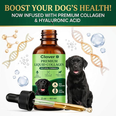 Clover Collagen for Dogs, Triple Hydrolyzed Liquid Collagen Peptides with Glucosamine and Hyaluronic Acid, Joint Mobility Support, Skin and Coat Supplement Drops (3PCS)