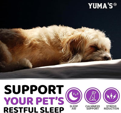 Melatonin for Dogs - 170 Melatonin Chews for Small and Large Dogs - Puppy Sleep Aid - Natural Calming Treats for Stress Anxiety Relief - Canine Sleeping Pills - Thunder, Fireworks, Chewing, Barking