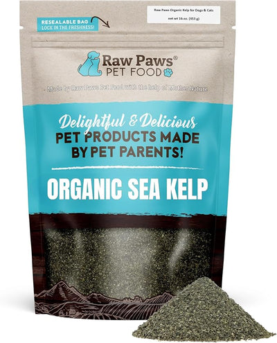 Raw Paws Organic Kelp Powder for Dogs & Cats (16-Ounce) - Supports Thyroid, Digestive & Immune Health - Dried Sea Kelp for Dogs - Seaweed Powder Supplement