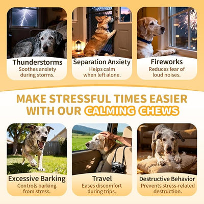 Advanced Calming Chews for Dogs-Brain & Composure Support with 7 Mushrooms, Ashwagandha, Omega-3 DHA & EPA, All Breeds & Sizes, Chicken Flavor, 90Ct