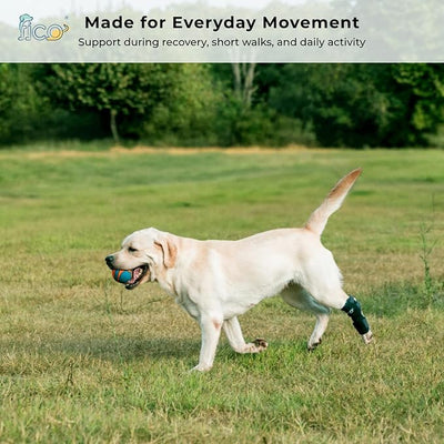 Dog Hock Brace for Ankle Support & Arthritis, Vet Approved Dog Back Leg Brace, Adjustable with Removable Splints, Orthopedic Support for Injuries, Sprains & Post-Surgery Recovery (X Large)