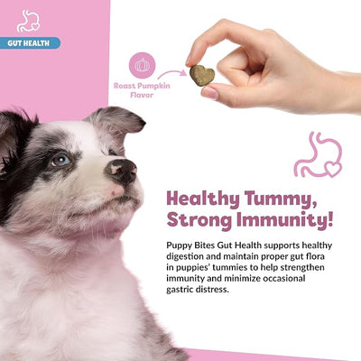 Snuggle Puppy Puppy Bites Gut Health Supplement - Dog Probiotics & Prebiotics for Gut Health - Pet Supplement and Supplies for Dog Health - Digestive Health Support - 60 Soft Chews