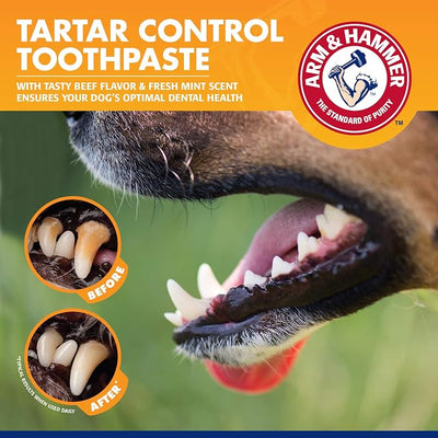Arm & Hammer for Pets Tartar Control Enzymatic Dog Toothpaste, Reduces Plaque & Tartar Buildup, Infused with Baking Soda, Safe for All Dogs and Puppies, Beef Flavor, 2.5 Oz - 72 Pack