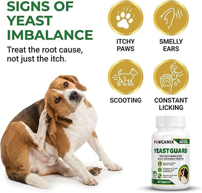 YeastGuard – Dog Yeast Infection Treatment & Probiotics (60 Chews) | Itchy Skin, Ear, Paw & Allergy Relief | 2B CFU + Caprylic Acid | Vet-Approved, Made in USA