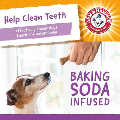 Arm & Hammer for Pets Nubbies Dental Treats Baking Soda Calcium Nubbed Texture Scrubs Plaque Tartar Chicken Flavor Freshens Breath Daily Oral Care 20 Count 7 OZ 24 Pack at Home Consistent Routine