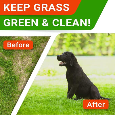 Grass Burn Spot Chews for Dogs - Dog Urine Neutralizer for Lawn - Dog Pee Lawn Spot Saver - Natural Treatment Caused by Dog Urine - Grass Treatment Rocks -DL-Methionine+Enzymes - 120 Chew