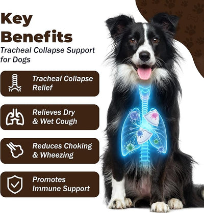 Dog Cough Relief Chews, Kennel Cough Support for Dogs, Herbal Throat & Airway Supplement for Dry & Wet Cough, Choking, Gagging, Wheezing & Respiratory Comfort, 120 Soft Chews