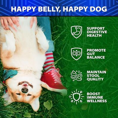 Advanced Probiotics for Dogs for Gut & Digestive Health, Seasonal Allergies & Itchy Skin, Yeast Balance - 6 Billion CFU - Dog Probiotics - Without Yeast - w/Prebiotics, Enzymes, Pumpkin - 120 Treats