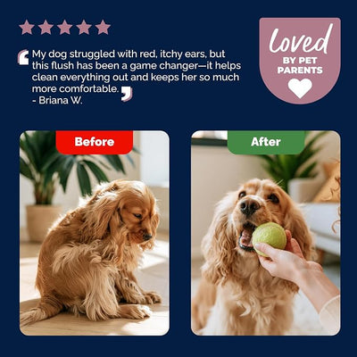 Vetnique Oticbliss Dog Ear Infection Treatment Flush & Ear Cleaner for Dogs & Cats, Antiseptic Antifungal with 0.2% Chlorhexidine and 0.2% Ketoconazole, Medicated Wash for Yeasty Smell, Floppy Ears