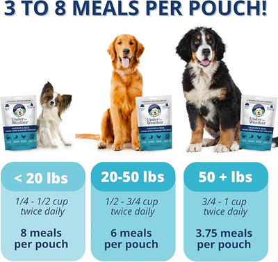 Under the Weather Bland Diet for Dogs | Easy to Digest for Sick Dogs | Always Be Ready | Contains Electrolytes - All Natural Freeze Dried 100% Human Grade Meats | 1 Pack - Chicken, Rice - 6oz