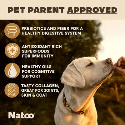 NATOO Natural Dog Biscuits for Small Dogs, Grain-Free Peanut Butter | Collagen, Prebiotics, Fiber & Omega 6, Supports Digestion, Skin, Coat, Joints & Immunity, Allergy-Friendly, 8 oz