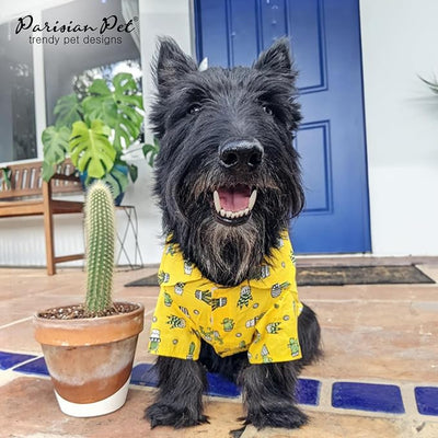 Parisian Pet Cactus Dog Shirt - Cotton Clothes for Medium Dogs - Stylish Tropical Yellow Dog Outfit - Lightweight and Soft Puppy Clothes - Trendy Tshirts for Dogs - Comfortable Summer Camp Pet Apparel