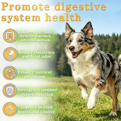 Probiotics for Dogs - Dog Probiotics for Digestive Health - 40 Billion CFU Dog Probiotic FOS Enzymes Pumpkin - Daily Gut Health for Sensitive Stomach Diarrhea Relief, Chicken Flavor, 12Ct