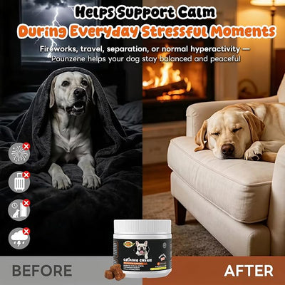 Calming Chews for Dogs, Melatonin Chewable Treats to Sleep Aid and Separation Anxiety Relief, Supports Relaxation for Travel and Storm - Calming Treats for Dogs, Bacon Flavor, 120 Soft Chews