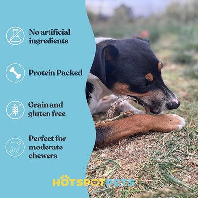 hotspot pets Bully Stick Rings for Dogs (5 Pack) 4 Inch Circles- Premium All Natural Long Lasting Beef Pizzle Dog Chew Treats - Low Odor, Grain Free, Fully Digestible, Rawhide Alternative Chews