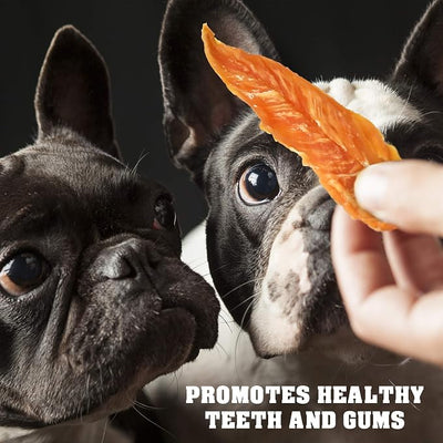Beloved Pets Dog Treats Chicken Jerky 1.5 lb – Dog Food & High Protein Chews for Large, Medium & Small Breeds – Natural Healthy Training Snacks Strips – Human Grade Bulk Soft Pack – Made for USA