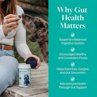 Veterinary Formula Gut Health Supplement for Dogs – Vet-Formulated Probiotic Chews with Digestive Enzymes & Fiber – Smart Vitality Supports Digestive Health, Gut Balance & Stool Quality, 60 Soft Chews