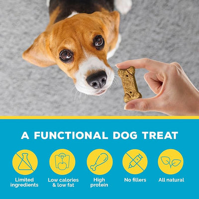 Brutus Bone Broth Biscuits for Dogs - Protein-Rich Dog Treats with Bone Broth and Real Beef - All Natural and Tasty - 8oz, Pack of 2, Beef Flavor