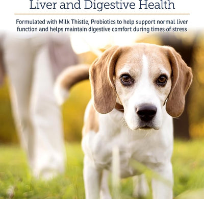 Rx Vitamins Onco Support - Dog & Cat Immune Support Supplement - 300g | with Milk Thistle for Cats, Spirulina, Kelp Powder for Dogs, and More - Also Aids in Gut Health and Digestive Support