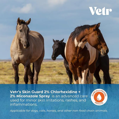vetr Skin Guard Max Chlorhexidine Miconazole Spray, Dogs Cats Horses, 8oz | One 8 oz bottle / Dual-action 2% / 2% formula; Soothes dry, irritated skin; Cleanses skin & coat