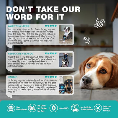 No Poo Chews for Dogs - Coprophagia Deterrent - Dog Probiotics for Digestive Health with Enzymes - Canine Stool Eating Deterrent - Digestive, Dental, Gut & Immune Health Treats - No Poop Eating