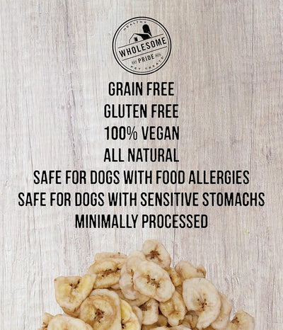 Wholesome Pride Banana Bites Dog Treats – 2-Ingredient Banana-Chips for Dogs, Grain-Free, Banana & Coconut Oil, 16 oz (Pack of 2)