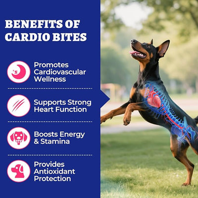 Wellix 260g Cardio Taurine for Dogs - Heart Supplements for Dog Chews with CoQ10,Fish Oil,L-Carnitine - Senior Heart Health and Cardiovascular & Antioxidant Support