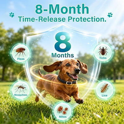 Flea and Tick Collar for Dogs 6 Pack, Natural Flea & Tick Prevention with Essential Oils, Waterproof Adjustable Dog Collar for Small Medium Large Dogs, Black & Gold