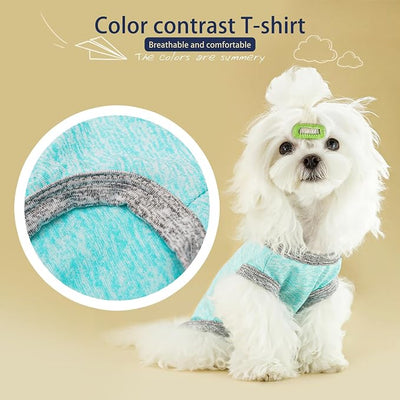 Chic Ion Polyester Dog Vest: Adorable Fashion Apparel for Small, Medium, and Large Breeds - Moisture-Wicking, Soft, Anti-Static, Durable, Easy-to-Clean Shirt - Orange 3XL