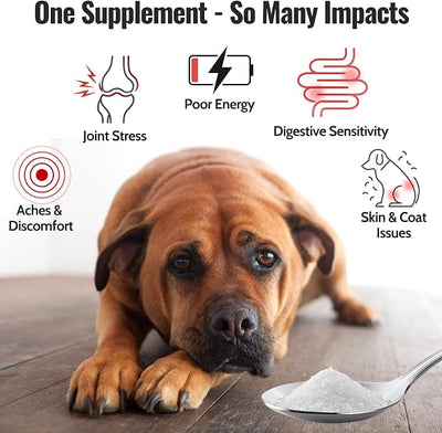 Pure MSM for Dogs & Cats | 99.9% Pure MSM Crystals | Organic Sulfur for Joint Support, Mobility, Skin & Coat | 100% Additive-Free | 7 oz / 210 g/Bag | 2 Pack