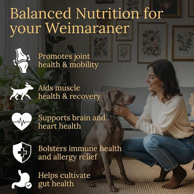 Weimaraner Multivitamins, 90 Count, Made in the USA with Real Bacon