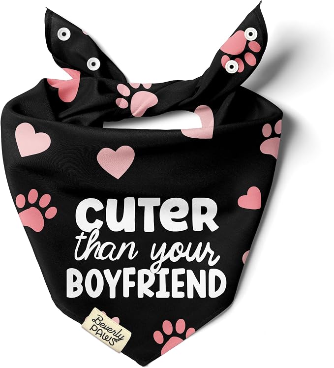 Funny Snap-On Dog Bandana for Small Medium Large Pets, Dogs Cats Adjustable Handkerchief Scarf for Girl & Boy, Cute Puppy Apparel & Accessories (Cuter Than Your BF, X-Large)