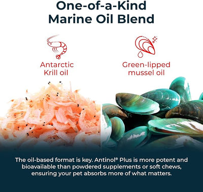 Antinol Plus, Mobility, Hip, and Joint Supplement for Dogs, Green-Lipped Mussels and Krill Oil - Dog Joint Supplement, Better and Faster Than Glucosamine and Chondroitin, 120 Soft Gels