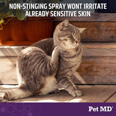 Pet MD All-in-One Derm Care - Hypochlorous Acid Spray for Dogs & All Pets - Skin Soother for Dogs & Wound Spray for Dogs - Cat Wound Care, Dog Hot Spot Remedy, & Dog Itch Relief - 4oz