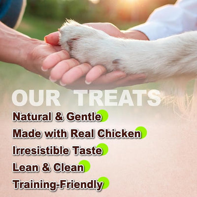 Afreschi Chicken Dog Treats, All Natural, Healthy & Easily Digestible, Grain-Free Puppy Chews, Low-Fat, Human Grade Training & Rewards Dog Snacks, Mini Sticks, 24 oz Pack