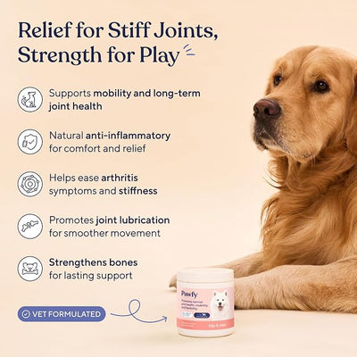 Pawfy Hip & Joint Supplement for Dogs with MSM & Vitamins | Glucosamine Chondroitin for Small, Medium & Large Breed - Supports Mobility & Bones with Omega 3 | 30 Chews (Large)