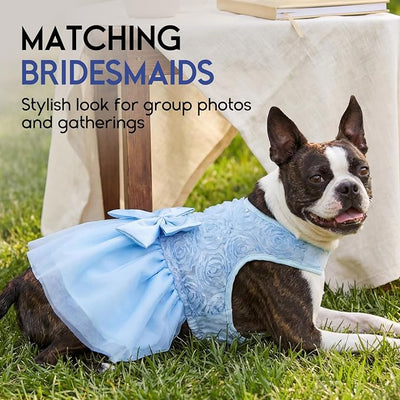 ASENKU Dog Dress Pet Wedding Dress Princess Lace Puppy Birthday Party Outfit Formal Apparel Girl for Small Medium Dogs Cats (X-Small, Blue)