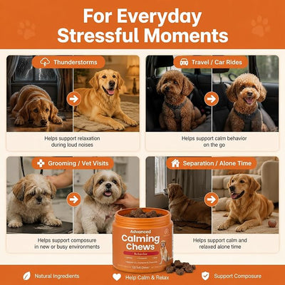 Calming Chews for Dogs, Turkey Flavor Dog Anxiety & Stress Relief Supplement for Relaxation, Composure and Separation Support, Calming Treats Soft Chews for Daily Use, 120 Count