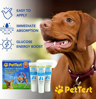 PetTest Energy Boost Glucose SOS 3x10ml Tubes for Pets, Instantly Increases Low Blood Sugar with B12 and Antioxidants, Fast Acting, Meat Flavoured, Rapid Recovery for Active or Diabetic Dogs & Cats