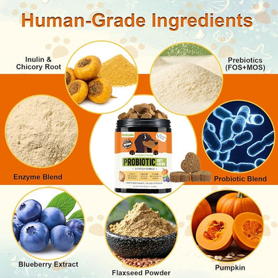 Dog Probiotic Soft Chews Support Gut Health Immunity, Diarrhea Gas Relief, Digestive Yeast Balance, Relieve Itchy Skin, with Pumpkin Blueberry, 6 Digestive Enzymes 4 Prebiotics 6 Probiotics for Dogs