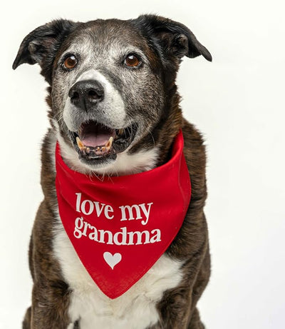 Love My Grandma Mother's Day, Valentine's Day Dog Bandana (Navy, XS 399)
