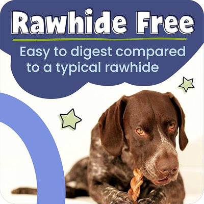 Pawstruck 100% Natural 9" Braided Bully Sticks for Dogs 1 lb Bag - Long Lasting Rawhide Free Single Ingredient Beef Pizzle Dog Chew Treats for Aggressive Chewers and Dental Health