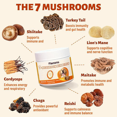 Mushroom Supplement for Dogs - Supports Antioxidant & Immune Defense, Gut, Skin, Joint & Urinary Tract Health, 7-Mushroom Complex (Turkey Tail, Lion's Mane, Reishi & 4 Others) – 330 Chews