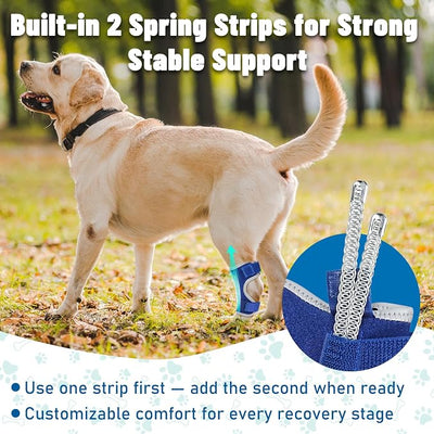 Dog Leg Braces for Back & Front Legs- Dog Hock & Ankle Joint Brace for Weak Back Legs with 2 Metal Strips, Reflective Trim for Sprain, Injury, Arthritis, Wound Recovery,Blue,XL-2