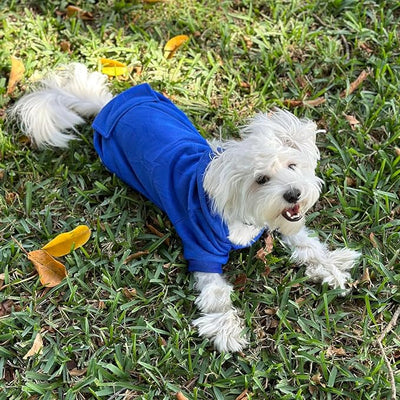 Jecikelon Soft Dog Hoodies for Small Dogs, Fleece Puppy Sweatshirt with Pockets, Warm Winter Cold Weather Coats for Pet Cat, Cute Clothes Puppy Costume (Dark Blue, Large)