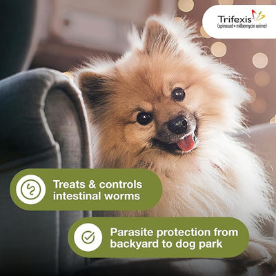 Trifexis Heartworm Prevention | Treats & Controls Flea Infestations + 4 Other Worms | Dogs 10.1-20 lbs. | 6 Chewables