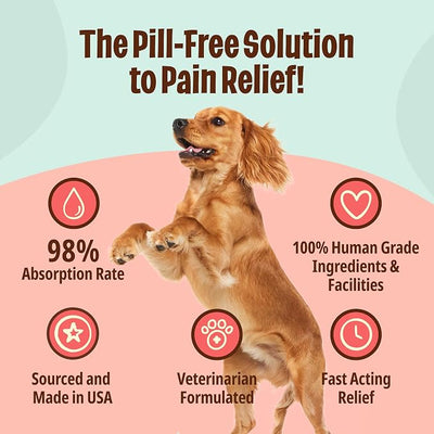 Licks Pain Relief - Temporary Discomfort & Mobility Support for Dogs with Aspirin - Pill-Free Liquid Packets - 30 Packets
