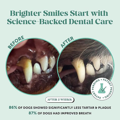 Dog Breath Freshener Dental Powder - Teeth Cleaning Plaque Off + Tartar Remover for Dogs - Care Supplement Food Topper with Kelp, HMP + Postbiotics for Healthy Gums - Mint Flavor (60 Servings)